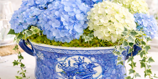 BLUE AND WHITE CHINOSERIE