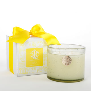 Tuberose 13 oz Candle in White Box with Bow
