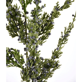 22IN Juniper Berry Spray, Natural
