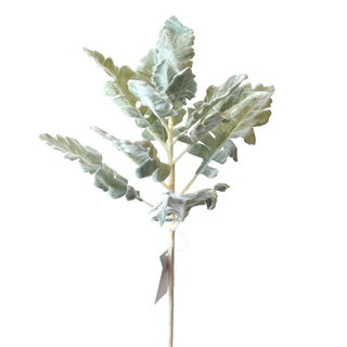 17" DUSTY MILLER SPRAY-GREEN