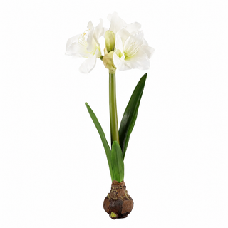 21" WHITE AMARYLLIS BULB STANDING