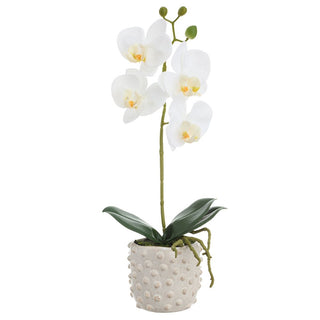 15.5"PHALAENOPSI PLANT CERAMIC VASE