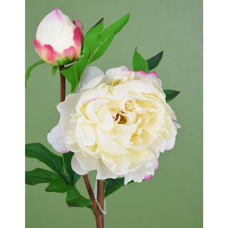 24.5" REAL TOUCH PEONY SPRAY-CREAM