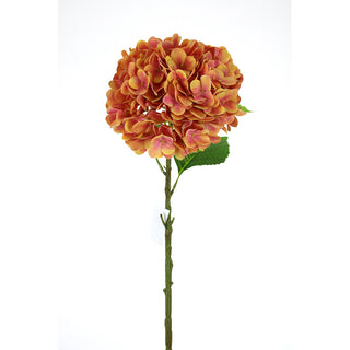 27.6" HYDRANGEA STEM-CORAL