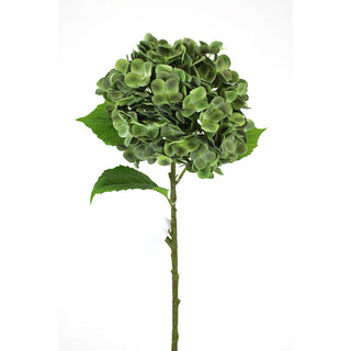 27.6" HYDRANGEA STEM-GREEN