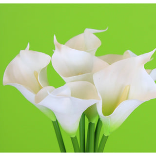 12.5" CALLA LILY BDL-WHITE