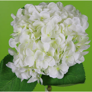 18.5" HYDRANGEA STEM-WHITE