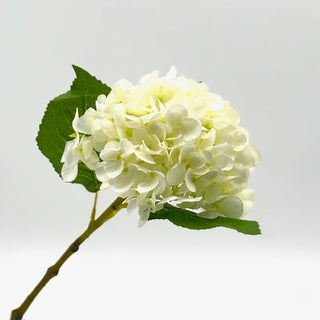 18.5" HYDRANGEA STEM-WHITE