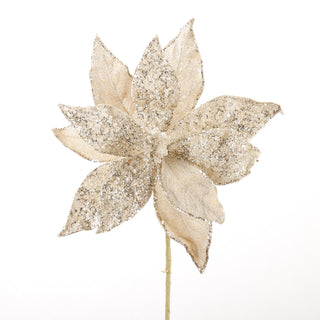 11.5" CHAMPAGNE POINSETTIA