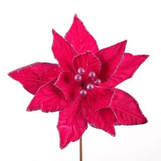 12" GLITTER TRIM FUCHSIA POINSETTIA