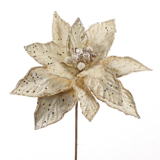 11.5" CHAMPAGNE HOLLY LEAF POINSETTIA
