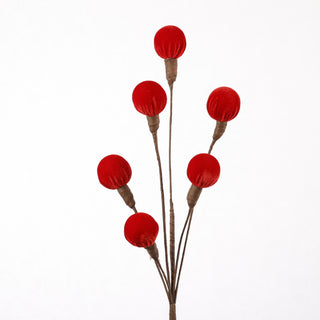 27" BERRY SPRAY-RD