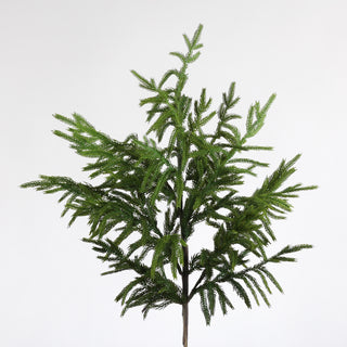 38" NORFOLK PINE SPRAY-GRN