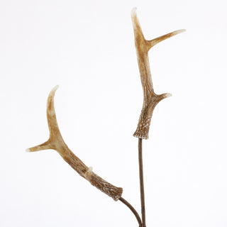 24" ANTLERS SPRAY-NATURAL
