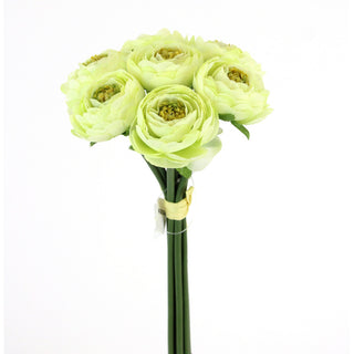 9" RANUNCULUS BUNDLE-CREAM GREEN