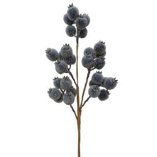 21IN Berry Spray, Blue