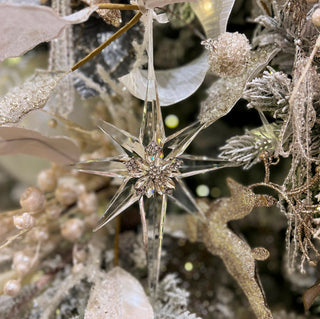 8IN Jewel Acrylic Star Ornament, Platinum Clear