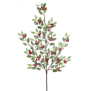 28IN Fosteri Holly Spray, Variegated