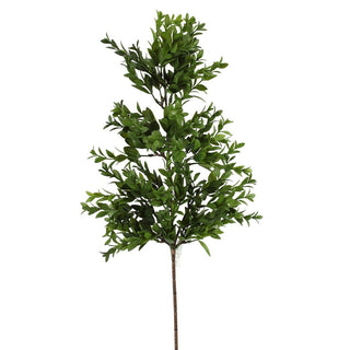 26IN Ruscus Spray, Green