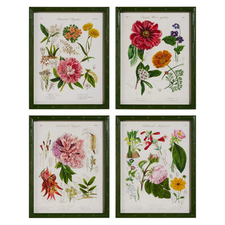 16" Floral Framed Wall Art (BOTTOM LEFT ONLY)