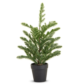 16" Potted Iced Pine Tree SHIPS 9/1/2026