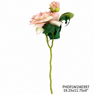 19.25" #2 French Peony Blush Stem