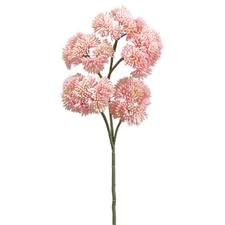 12" SEDUM SPRAY PK