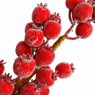 30" Sugared Berries Stem Color Red
