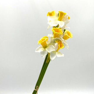 23'' POLYESTER DAFFODIL YELLOW/WHITE