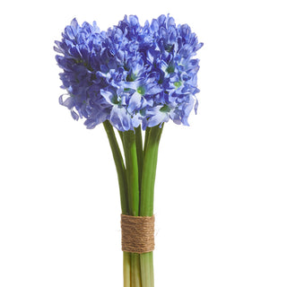 10.5" PURPLE HYACINTH BUNDLE