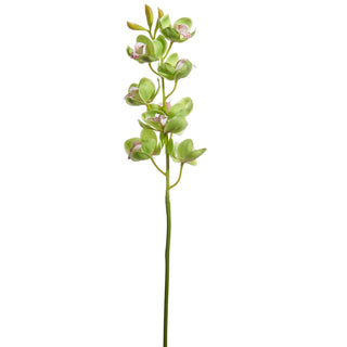 27.5" Green Cymbidium Orchid Stem