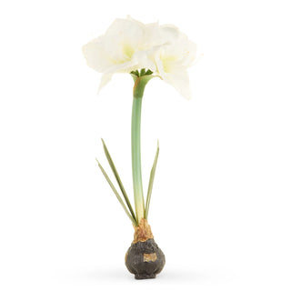 19" Real Touch White Amaryllis Bulb SHIPS 9/1/2026
