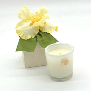 Citron 14oz Flower Box Candle