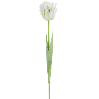 27" PARROT TULIP SPRAY WH/GR