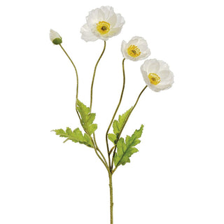 23.6"POPPY SPRAY WH