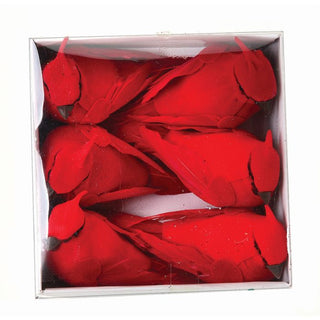MINI CARDINAL 4", BOX OF 6, ACETATE