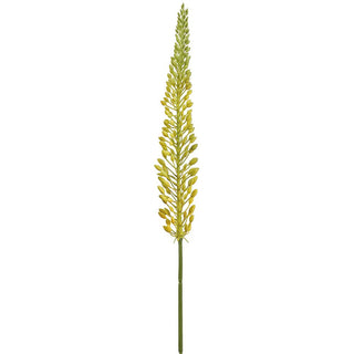 29.5"FOXTAIL LILY SPRAY YE