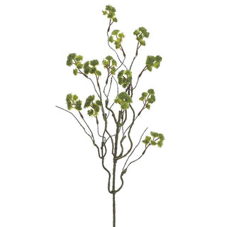 23"IRISH MOSS SPRAY GR