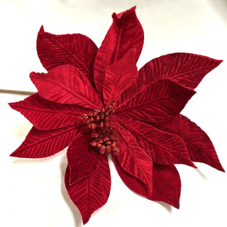 11.5" RED VELVET POINSETTIA