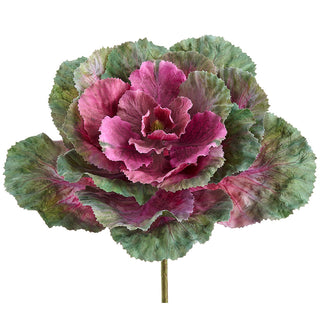 10" ORNAMENTAL CABBAGE PICK BS/GR
