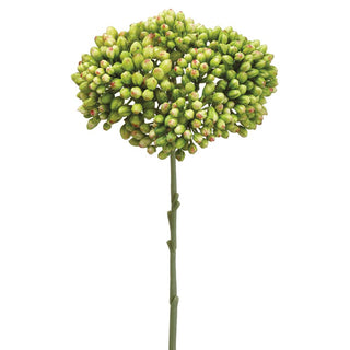 12.5"SEDUM SPRAY GR