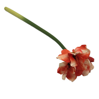 28" RED/CREAM AMARYLLIS  SPRAY