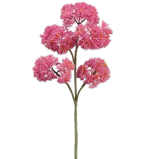 12" SEDUM SPRAY BT