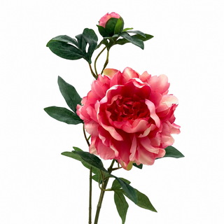ESTATE GARDEN PEONY PINK
