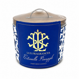 Citronella Pineapple Cheese Mould With Lid-20oz