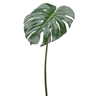 23" PHILODENDRON SPRAY GR