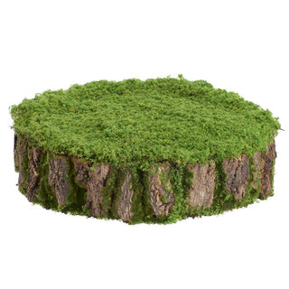 4"HX17"D MOSS STUMP GREEN