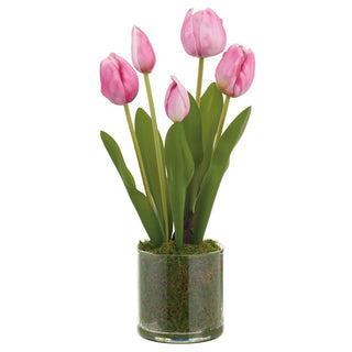 15"TULIP IN PLASTIC POT FU