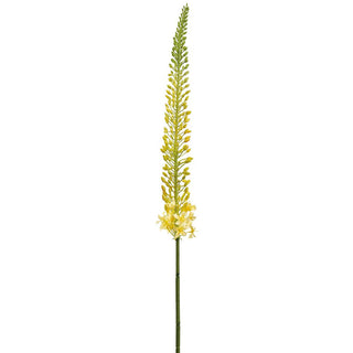 44"FOXTAIL LILY SPRAY YE