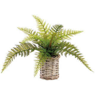 11" LEATHER FERN IN BASKET GR